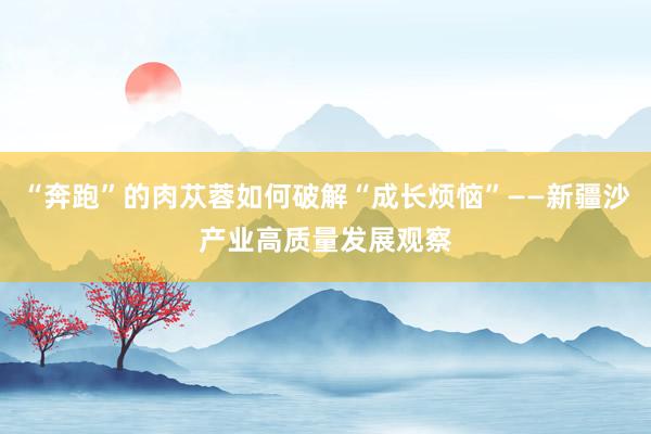 “奔跑”的肉苁蓉如何破解“成长烦恼”——新疆沙产业高质量发展观察
