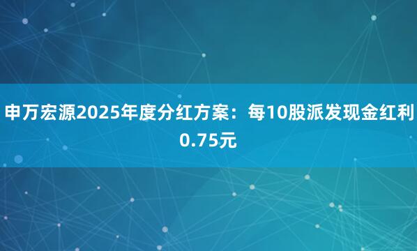 申万宏源2025年度分红方案：每10股派发现金红利0.75元