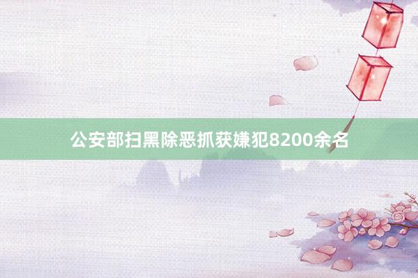 公安部扫黑除恶抓获嫌犯8200余名