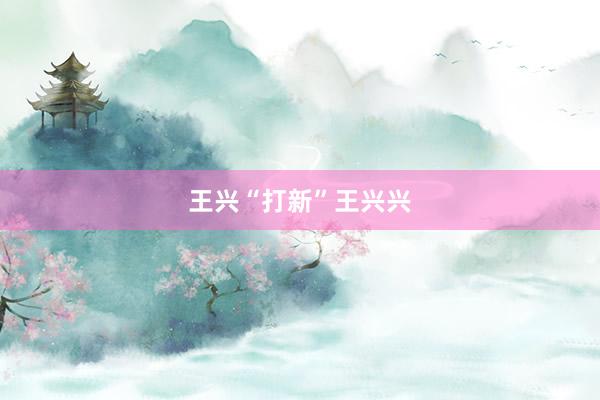 王兴“打新”王兴兴