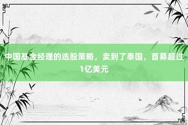 中国基金经理的选股策略，卖到了泰国，首募超过1亿美元