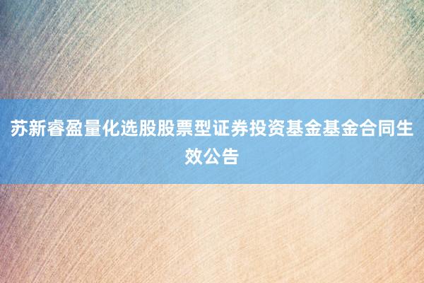 苏新睿盈量化选股股票型证券投资基金基金合同生效公告