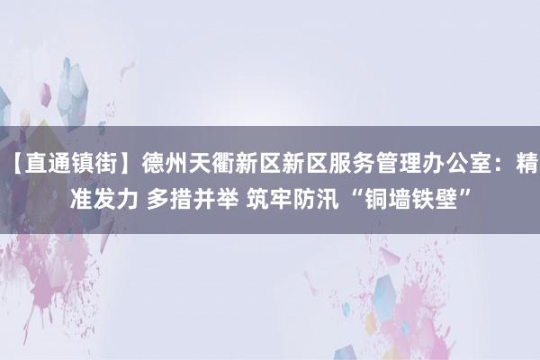 【直通镇街】德州天衢新区新区服务管理办公室：精准发力 多措并举 筑牢防汛 “铜墙铁壁”