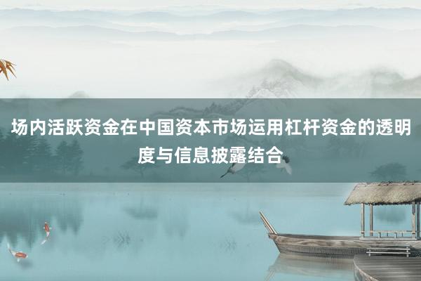 场内活跃资金在中国资本市场运用杠杆资金的透明度与信息披露结合