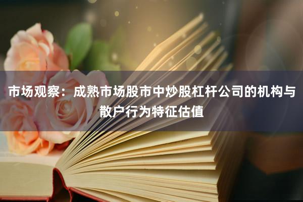 市场观察：成熟市场股市中炒股杠杆公司的机构与散户行为特征估值