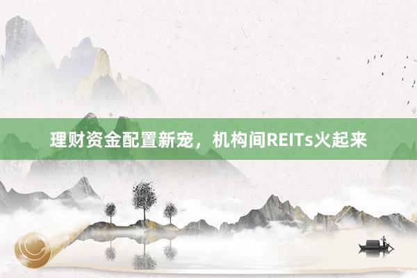 理财资金配置新宠，机构间REITs火起来