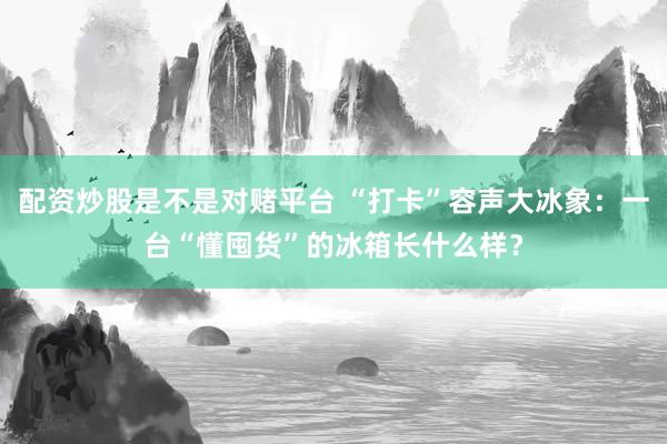 配资炒股是不是对赌平台 “打卡”容声大冰象：一台“懂囤货”的冰箱长什么样？