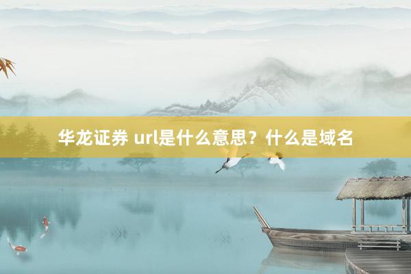华龙证券 url是什么意思？什么是域名