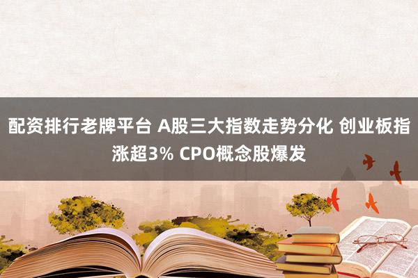 配资排行老牌平台 A股三大指数走势分化 创业板指涨超3% CPO概念股爆发