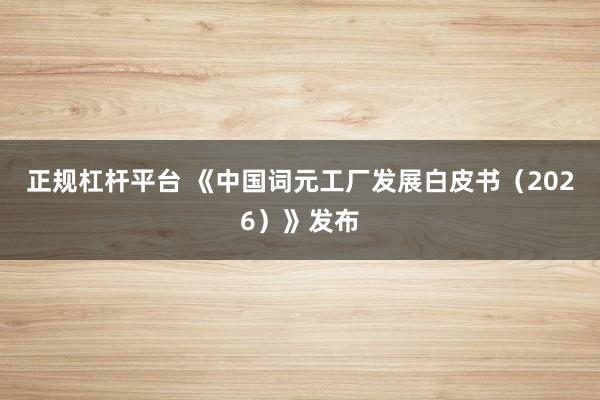 正规杠杆平台 《中国词元工厂发展白皮书（2026）》发布