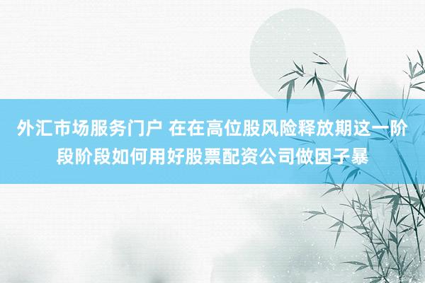 外汇市场服务门户 在在高位股风险释放期这一阶段阶段如何用好股票配资公司做因子暴