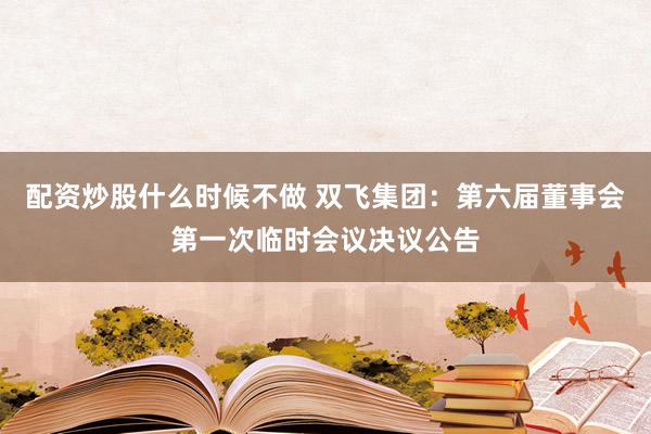 配资炒股什么时候不做 双飞集团：第六届董事会第一次临时会议决议公告