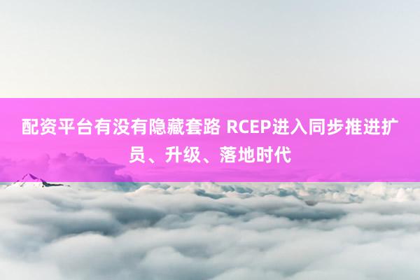配资平台有没有隐藏套路 RCEP进入同步推进扩员、升级、落地时代