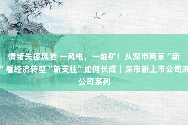 情绪失控风险 一风电,一铀矿!从深市两家“新兵”看经济转型“新支柱”如何长成丨深市新上市公司系列